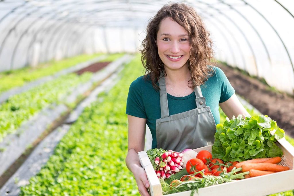 Le Pays de Sources et Vallées crée un espace-test pour lancer des maraîchers